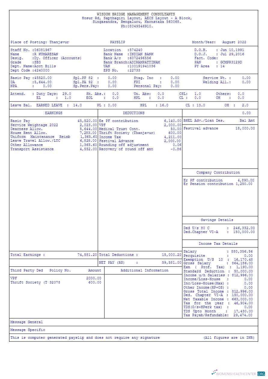Download Wisdom Bridge Management Consultants payslip template in Word and PDF formats.pdf, 2 Photoshop template